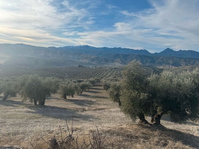 Finka/Dom wiejski na sprzedaż w Alhendín - 2 300 000 € (Ref: 9495042)