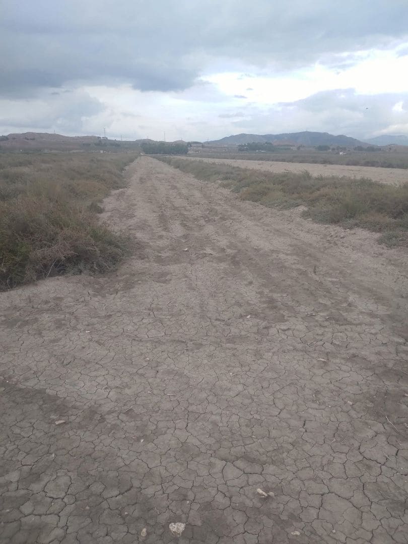 Finca/Country House for sale in Tobarra - € 8,000,000 (Ref: 9495044)