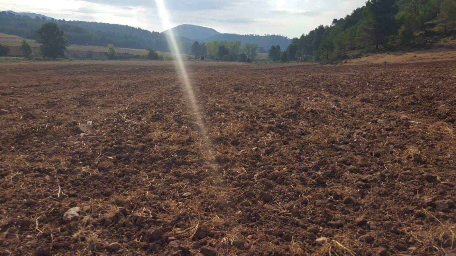 Finca/Country House for sale in Tobarra - € 8,000,000 (Ref: 9495044)