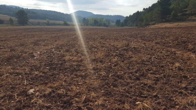 Finca/Country House for sale in Tobarra - € 8,000,000 (Ref: 9495044)