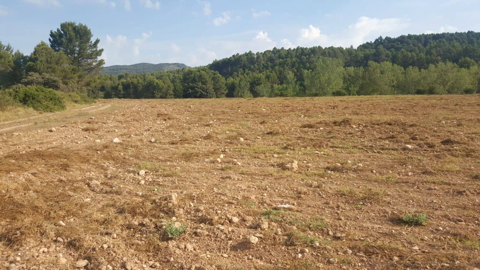 Finca/Country House for sale in Tobarra - € 8,000,000 (Ref: 9495044)