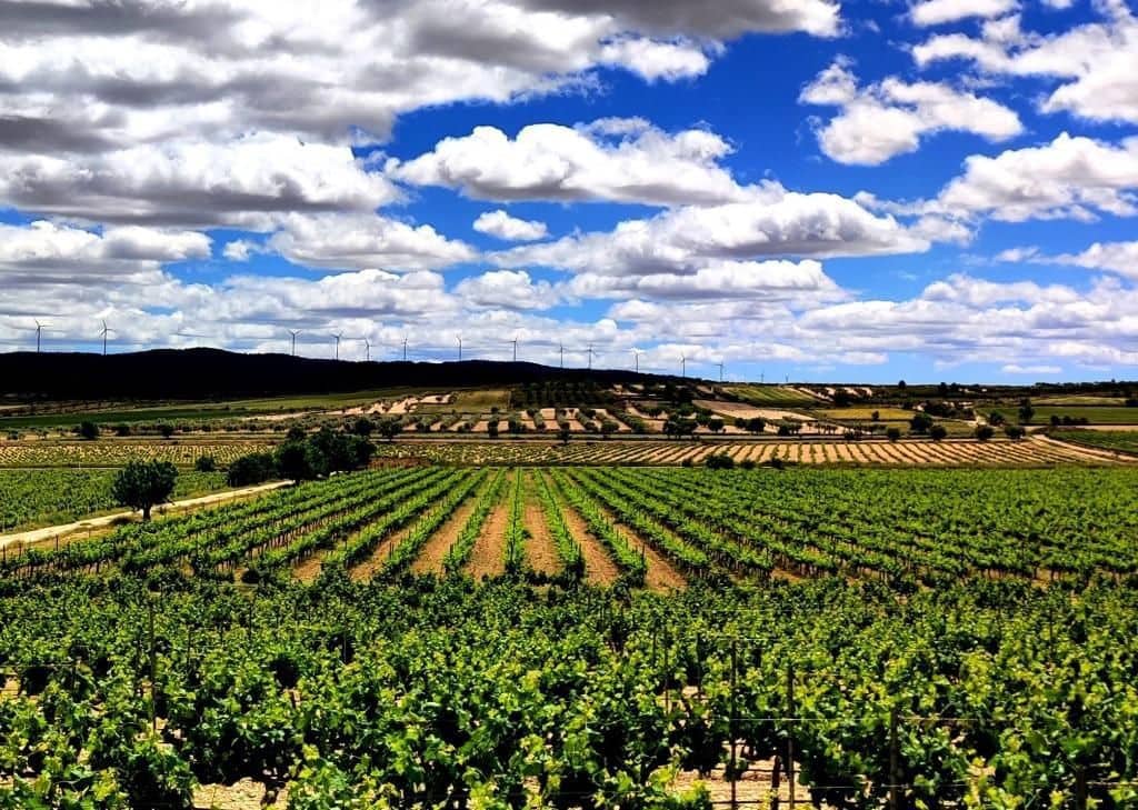 Finca/Landehus til salg i La Nora - € 2.800.000 (Ref: 9495047)