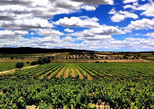 Finca/Landehus til salg i La Ñora, Murcia by - € 2.800.000 (Ref: 9495047)