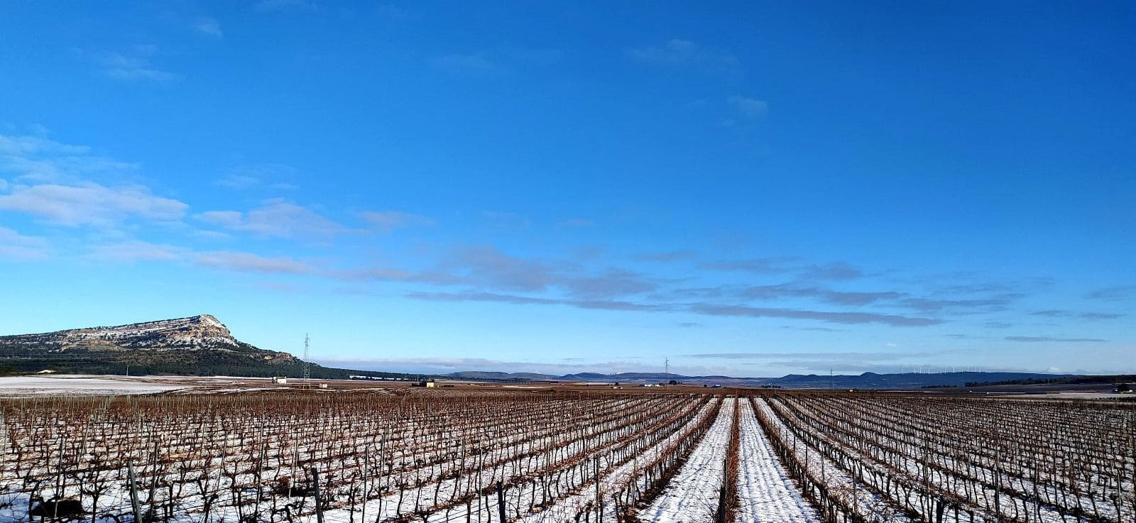 Finca/Landehus til salg i La Nora - € 2.800.000 (Ref: 9495047)