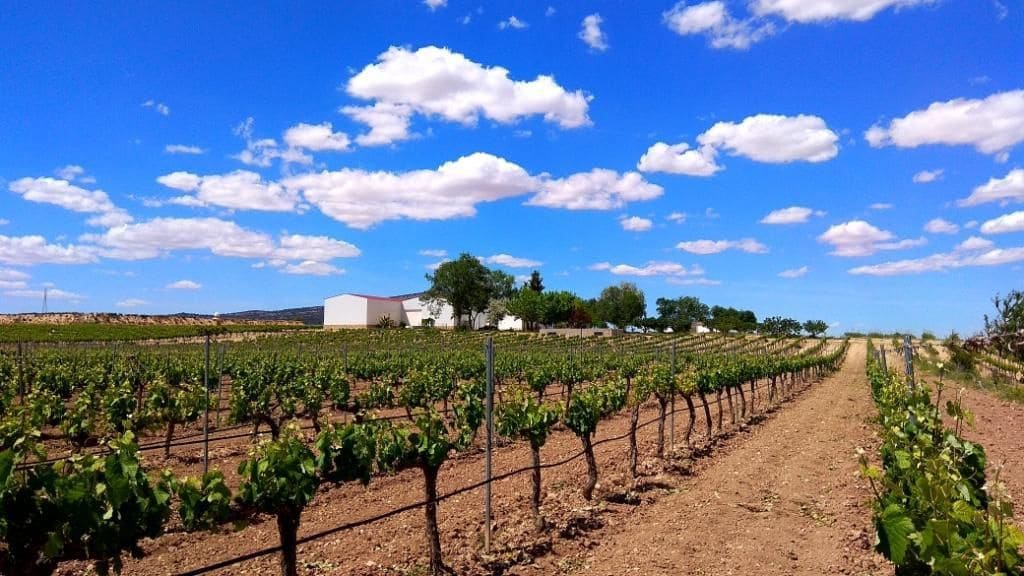 Finca/Landehus til salg i La Nora - € 2.800.000 (Ref: 9495047)