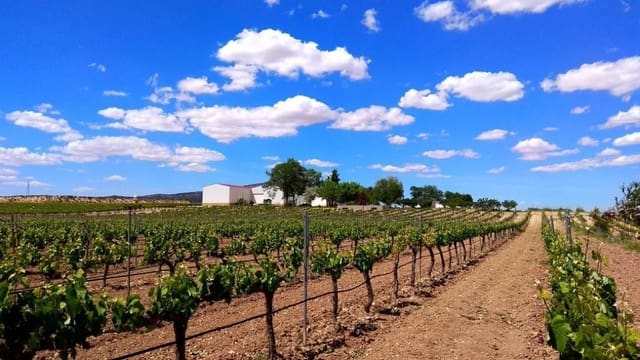 Finca/Landehus til salg i La Ñora, Murcia by - € 2.800.000 (Ref: 9495047)