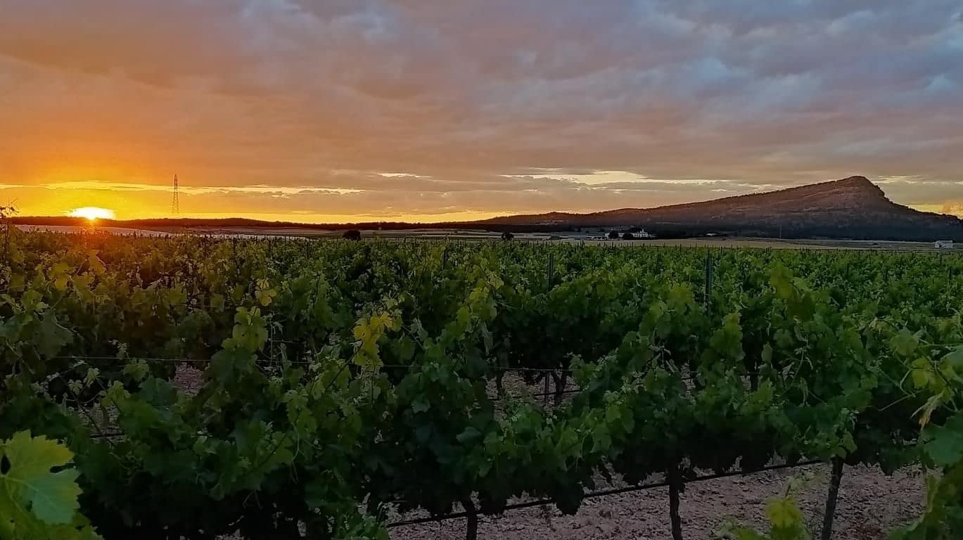 Finca/Landehus til salg i La Nora - € 2.800.000 (Ref: 9495047)