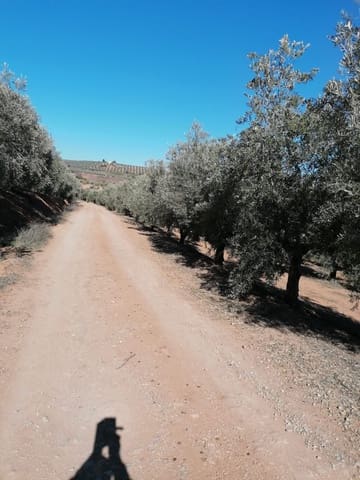 Finca/Landgut zu verkaufen in Alcántara - 65.000 € (Ref: 9495049)