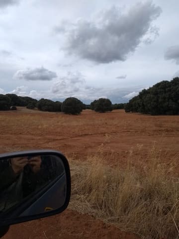 Finca/Landgut zu verkaufen in Ciudad Real Stadt - 7.500.000 € (Ref: 9495050)