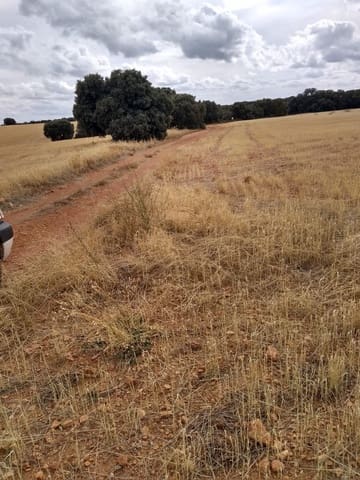 Finca/Landgut zu verkaufen in Ciudad Real Stadt - 7.500.000 € (Ref: 9495050)