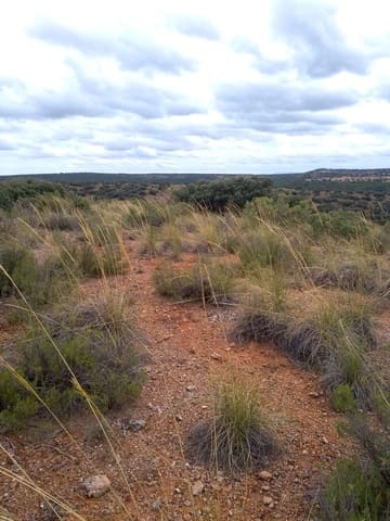 Finca/Landgut zu verkaufen in Ciudad Real Stadt - 7.500.000 € (Ref: 9495050)