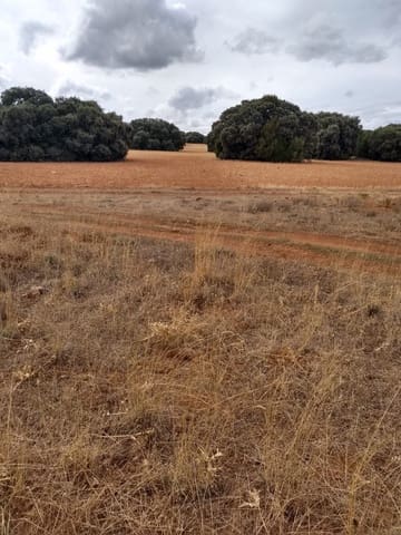 Finca/Landgut zu verkaufen in Ciudad Real Stadt - 7.500.000 € (Ref: 9495050)