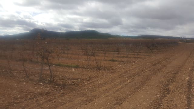 Finca/Country House for sale in Ossa de Montiel - € 7,500,000 (Ref: 9495051)