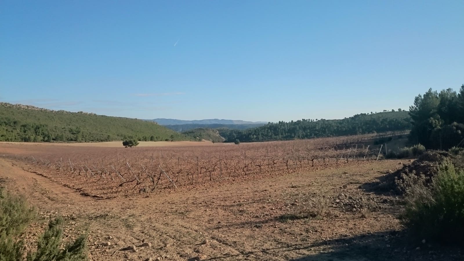 Finca/Country House for sale in Cuenca city - € 17,000,000 (Ref: 9495052)