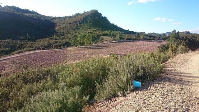 Finca/Country House for sale in Cuenca city - € 17,000,000 (Ref: 9495052)