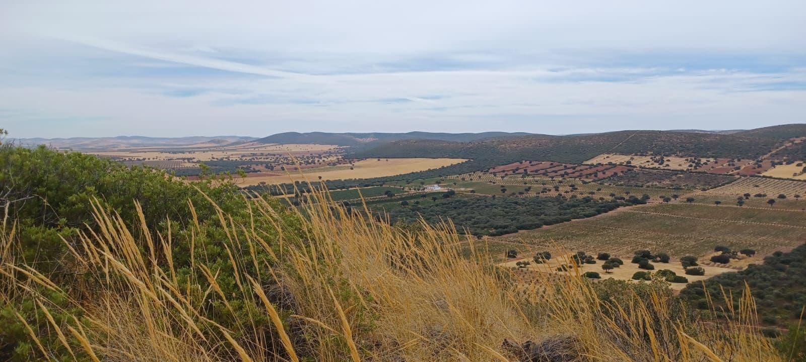 Finca/Landehus til salg i Toledo by - € 9.500.000 (Ref: 9495053)