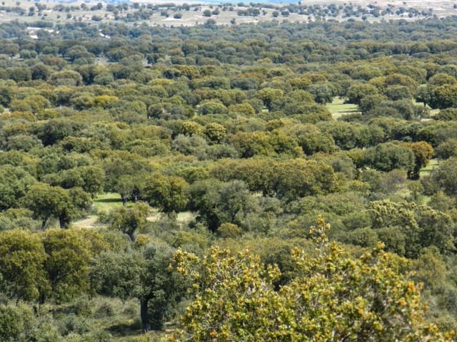 Finca/Landehus til salg i Avenida Elvas, Badajoz by - € 6.100.000 (Ref: 9495055)