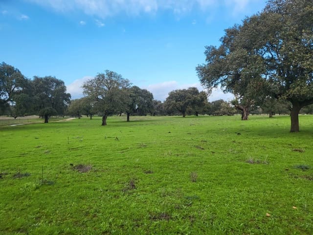 Finca/Landehus til salg i Avenida Elvas, Badajoz by - € 6.100.000 (Ref: 9495055)