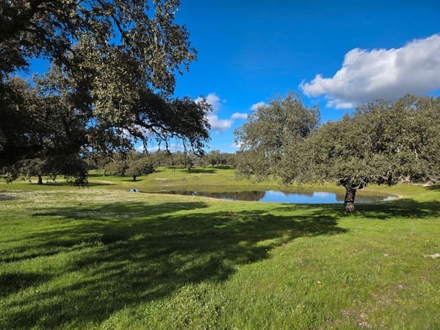 Finca/Landehus til salg i Avenida Elvas, Badajoz by - € 6.100.000 (Ref: 9495055)