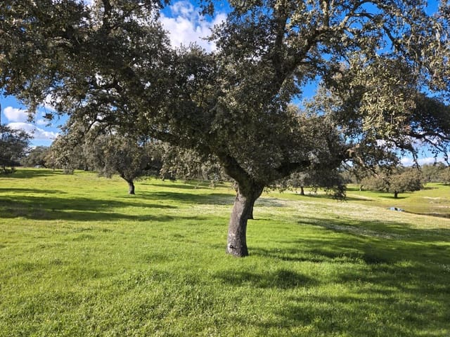 Finca/Landehus til salg i Avenida Elvas, Badajoz by - € 6.100.000 (Ref: 9495055)