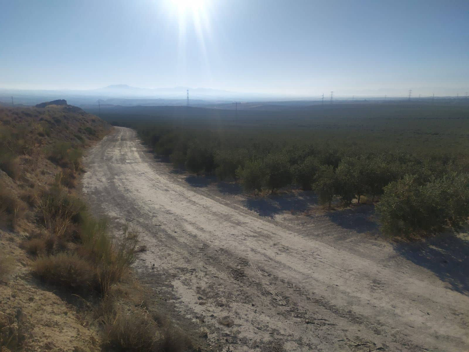 Finca/Country House for sale in Yecla - € 8,000,000 (Ref: 9495057)