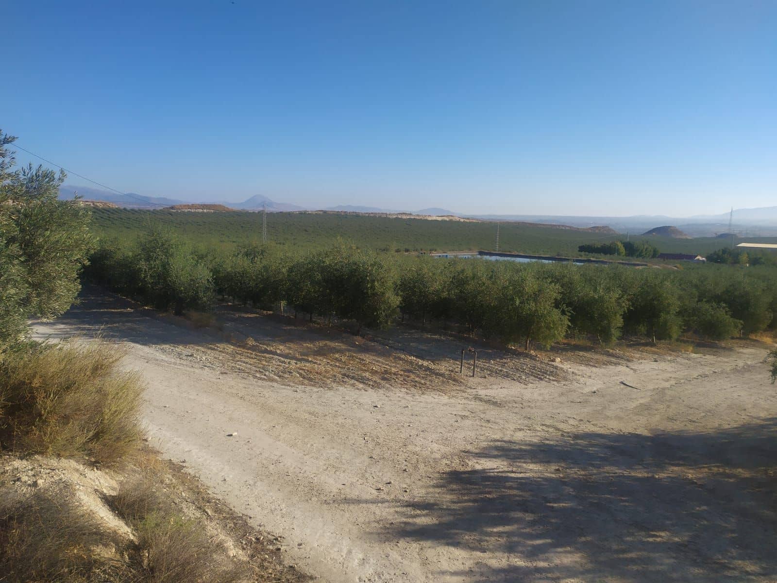 Finca/Country House for sale in Yecla - € 8,000,000 (Ref: 9495057)