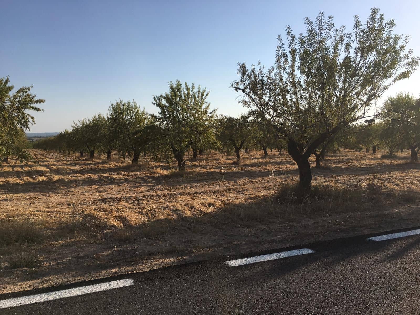 Finca/Country House for sale in Lorca - € 2,500,000 (Ref: 9495058)