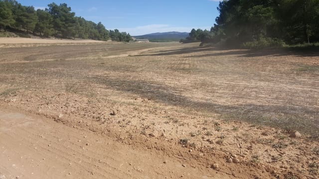 Finca/Country House for sale in Jerónimos, Madrid city - € 15,000,000 (Ref: 9495061)