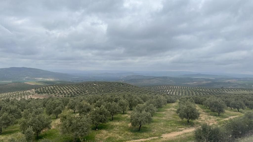 Finca/Country House for sale in Granatula de Calatrava - € 9,000,000 (Ref: 9495062)