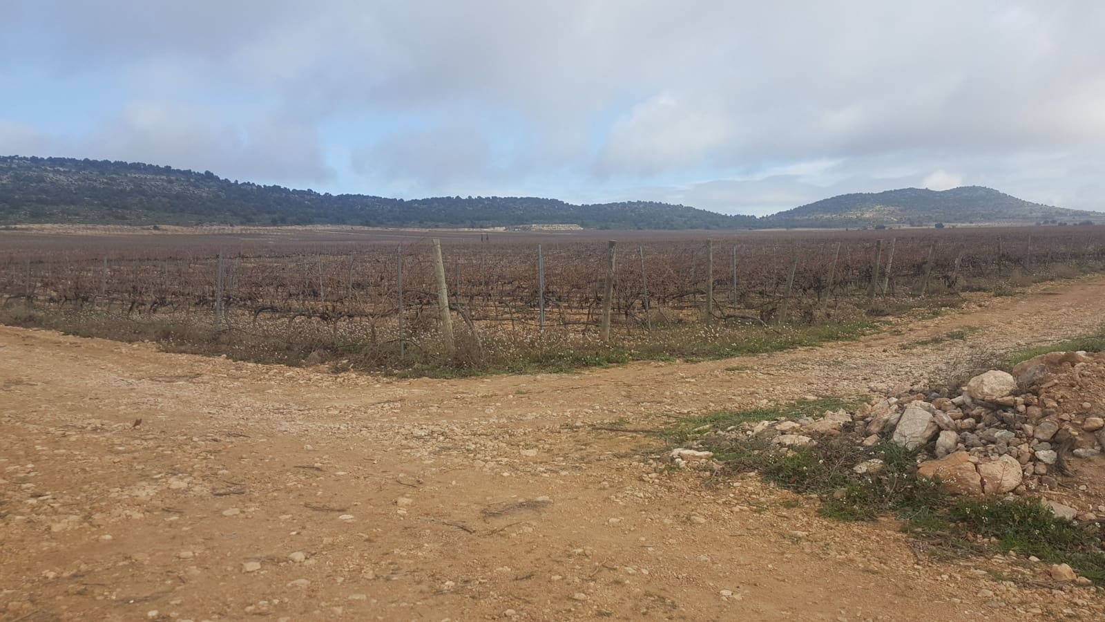 Finca/Country House for sale in Granatula de Calatrava - € 9,000,000 (Ref: 9495062)