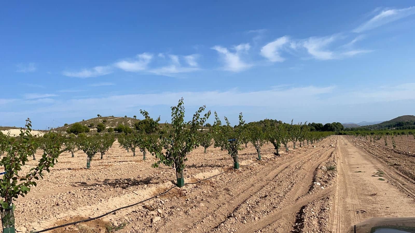 Finca/Landehus til salg i Murcia by - € 4.500.000 (Ref: 9495063)
