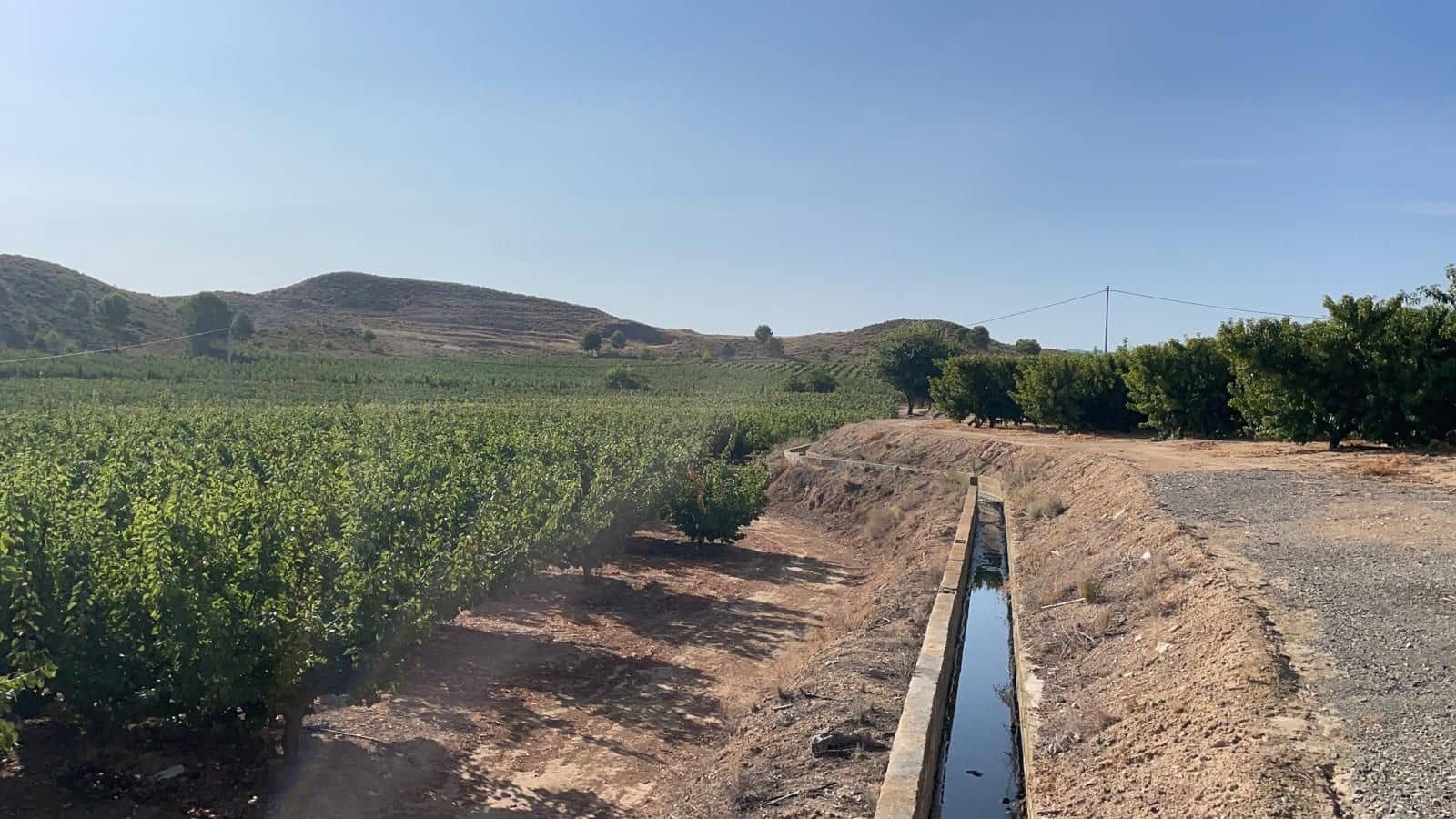 Finca/Landehus til salg i Murcia by - € 4.500.000 (Ref: 9495063)