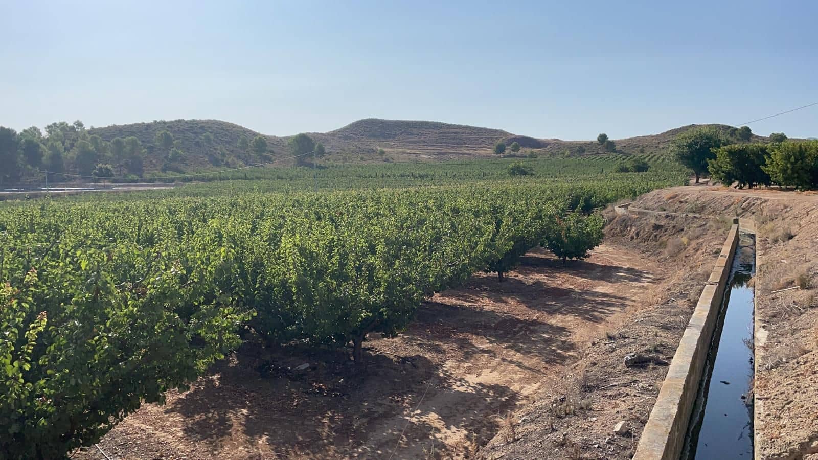 Finca/Landehus til salg i Murcia by - € 4.500.000 (Ref: 9495063)