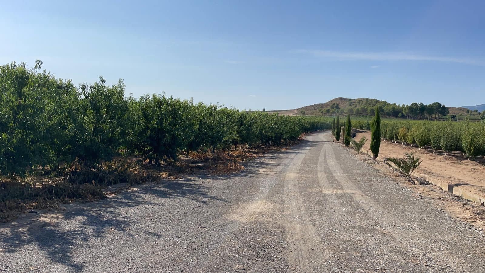 Finca/Landehus til salg i Murcia by - € 4.500.000 (Ref: 9495063)