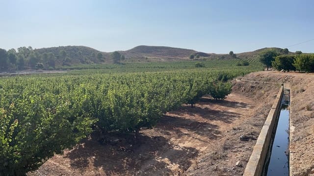 Finca/Landehus til salg i San Miguel, Murcia by - € 4.500.000 (Ref: 9495063)