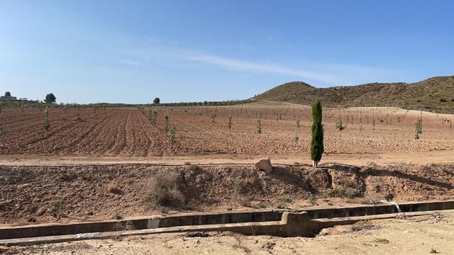 Finca/Landehus til salg i San Miguel, Murcia by - € 4.500.000 (Ref: 9495063)