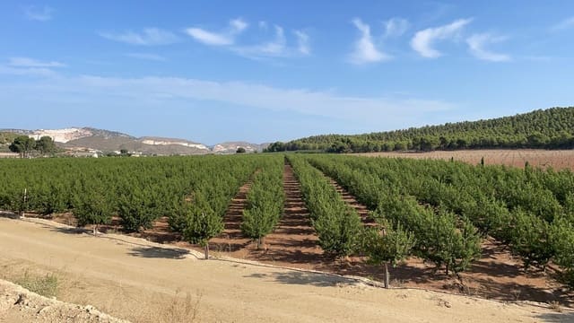 Finca/Landehus til salg i San Miguel, Murcia by - € 4.500.000 (Ref: 9495063)