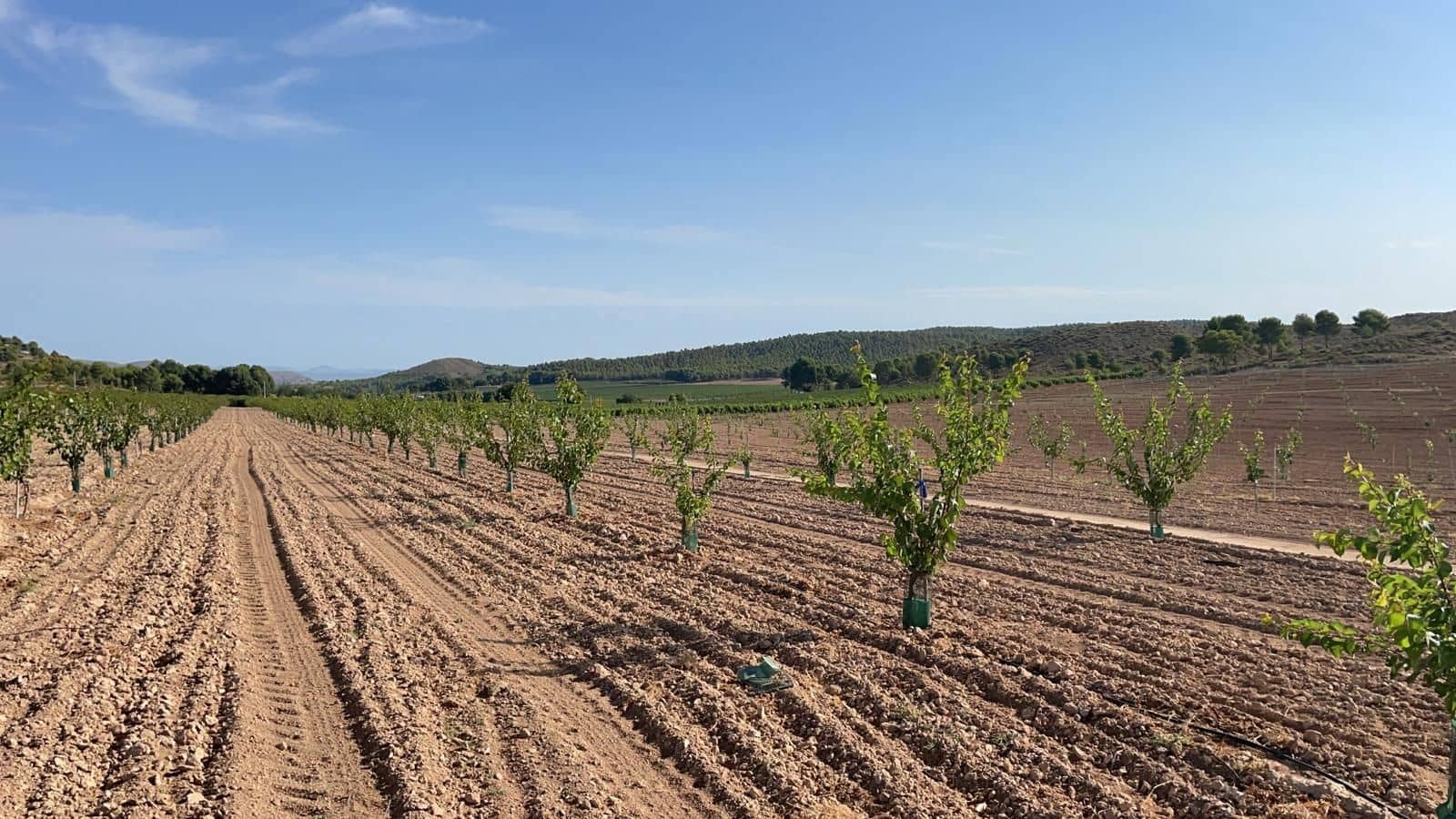 Finca/Landehus til salg i Murcia by - € 4.500.000 (Ref: 9495063)