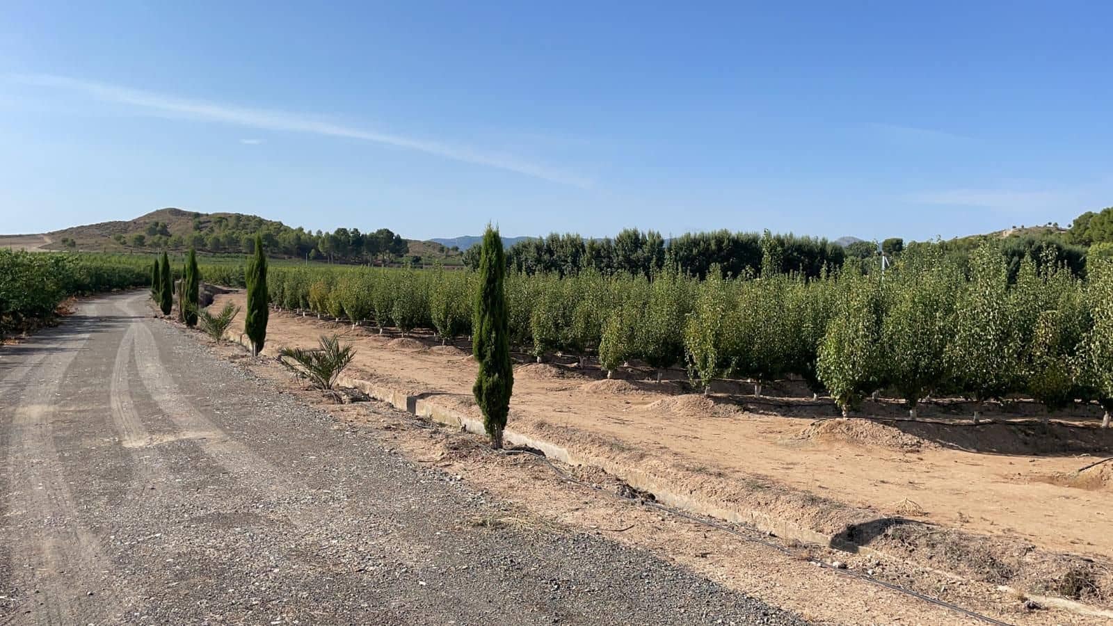 Finca/Landehus til salg i Murcia by - € 4.500.000 (Ref: 9495063)