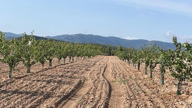 Finca/Landehus til salg i San Miguel, Murcia by - € 4.500.000 (Ref: 9495063)