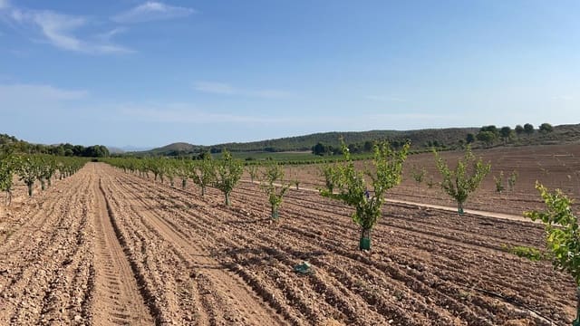 Finca/Landehus til salg i San Miguel, Murcia by - € 4.500.000 (Ref: 9495063)