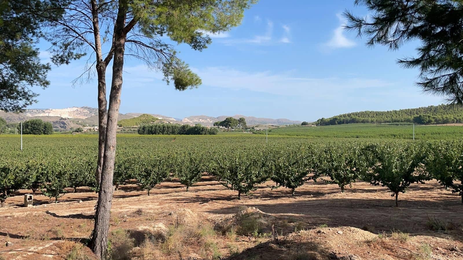 Finca/Landehus til salg i Murcia by - € 4.500.000 (Ref: 9495063)