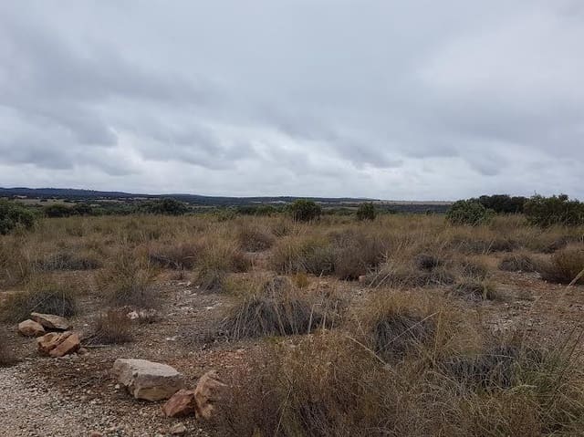 Finca/Casa Rural en Socuéllamos en venta - 5.500.000 € (Ref: 9495064)