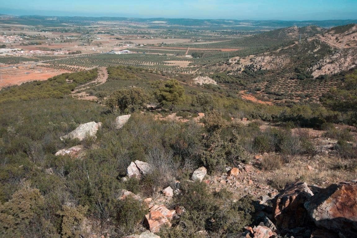 Finca/Country House for sale in Socuellamos - € 5,500,000 (Ref: 9495064)