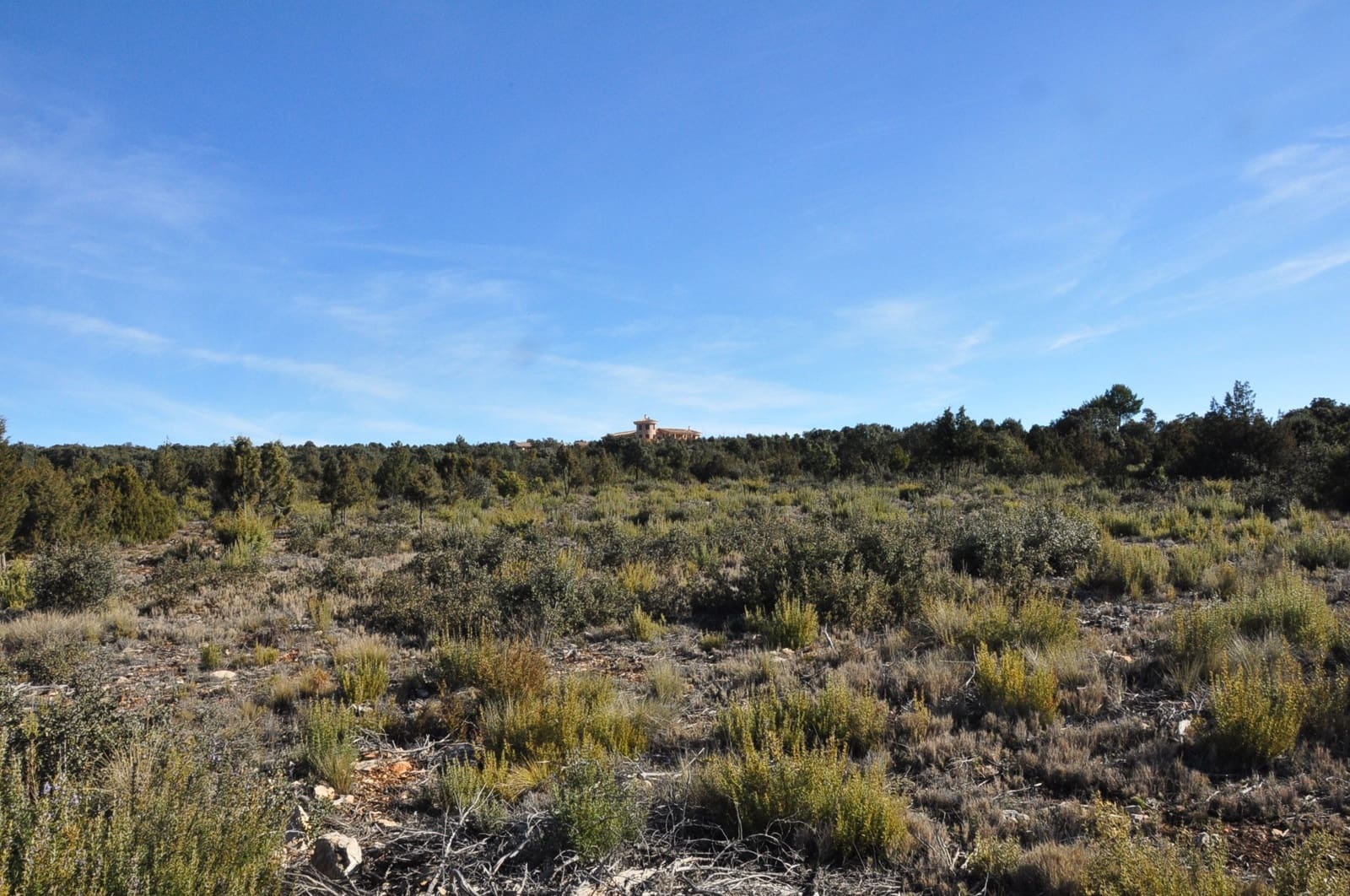 Finca/Country House for sale in Socuellamos - € 5,500,000 (Ref: 9495064)