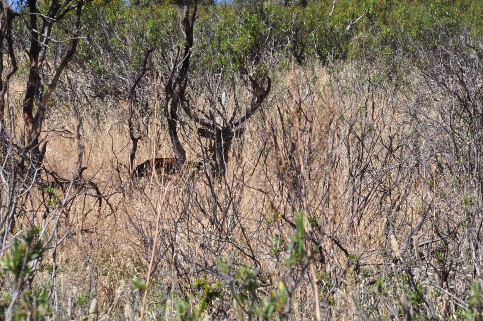 Finca/Country House for sale in Socuellamos - € 5,500,000 (Ref: 9495064)