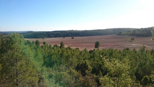 Finca/Casa Rural en Socuéllamos en venta - 5.500.000 € (Ref: 9495064)