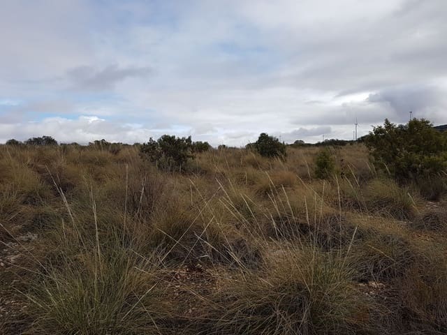 Finca/Casa Rural en Socuéllamos en venta - 5.500.000 € (Ref: 9495064)