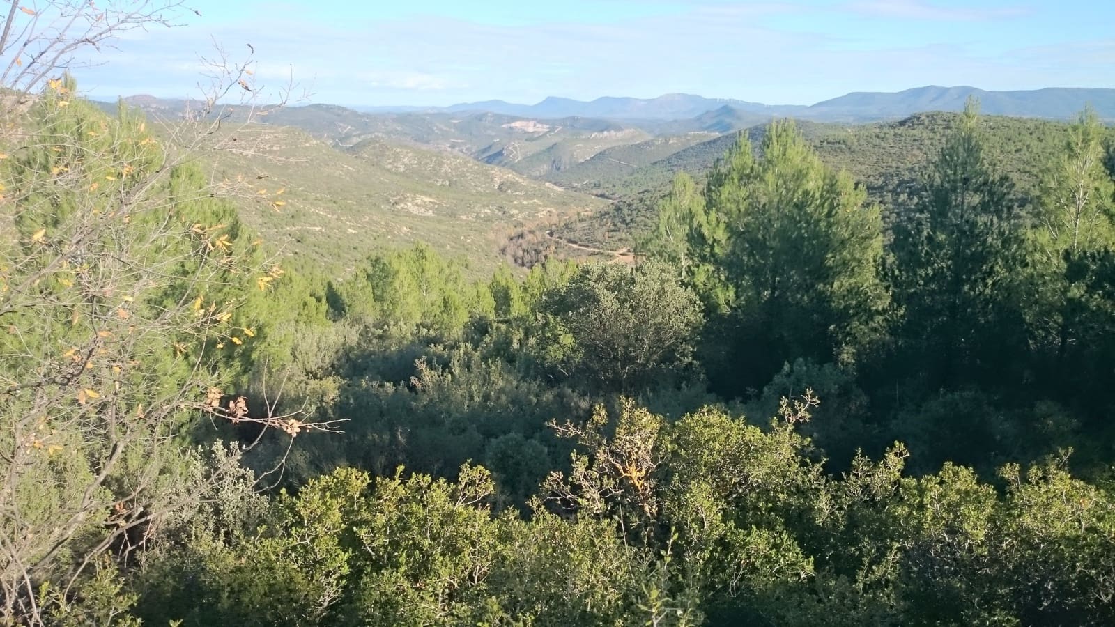 Finca/Country House for sale in Socuellamos - € 5,500,000 (Ref: 9495064)