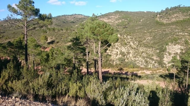 Finca/Casa Rural en Socuéllamos en venta - 5.500.000 € (Ref: 9495064)